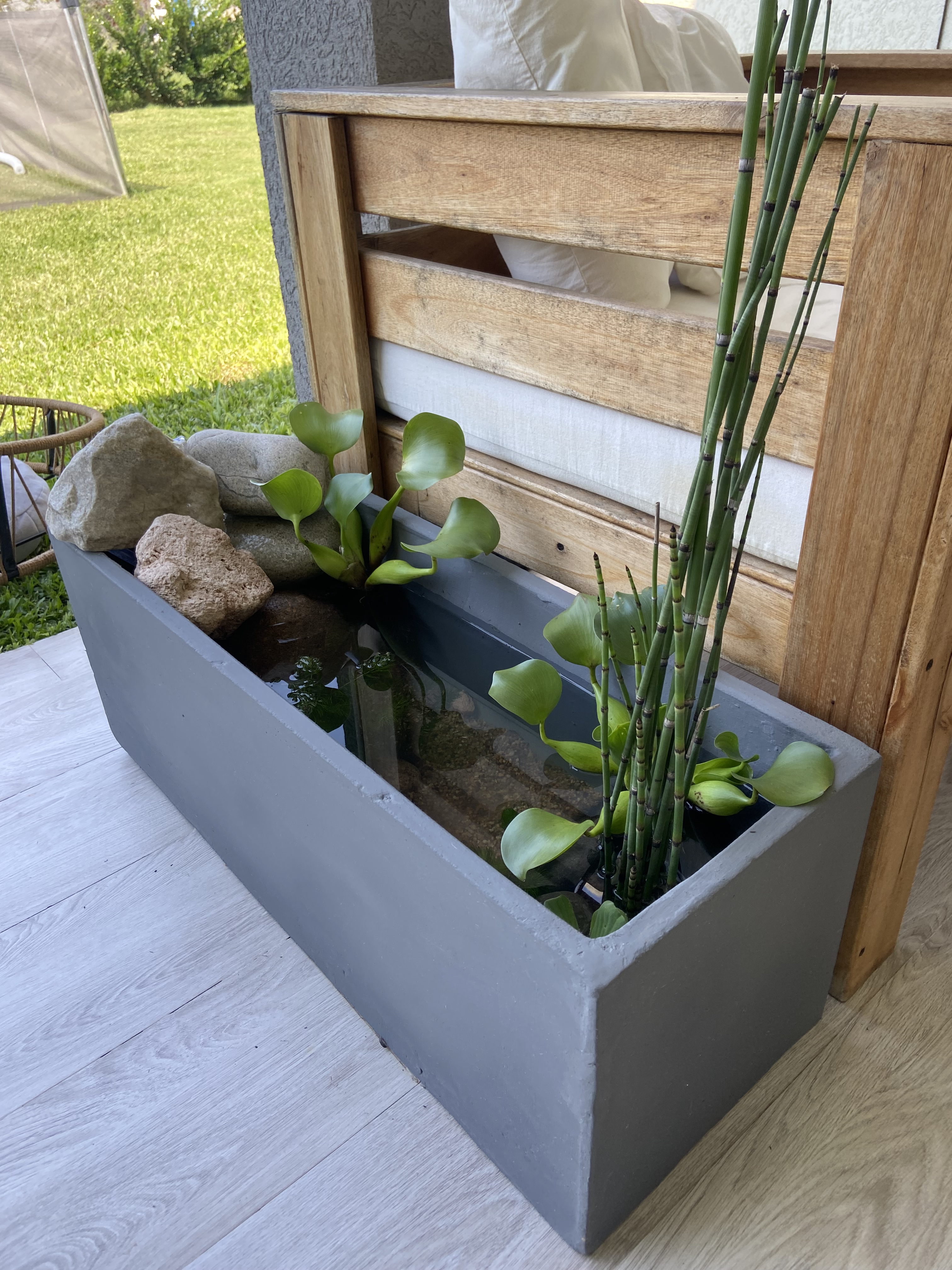 Mini Estanque - Vista 3