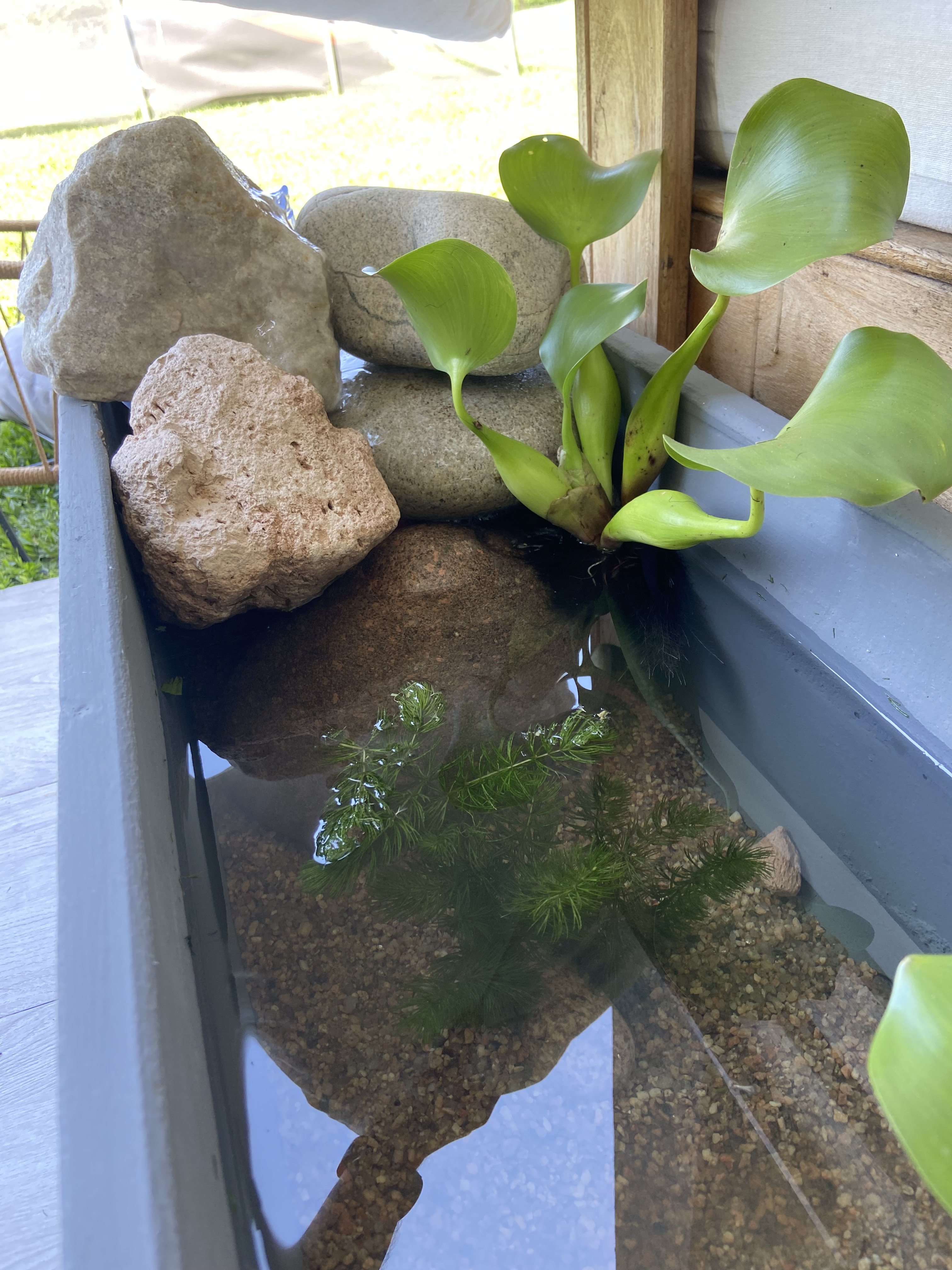 Mini Estanque - Vista 4