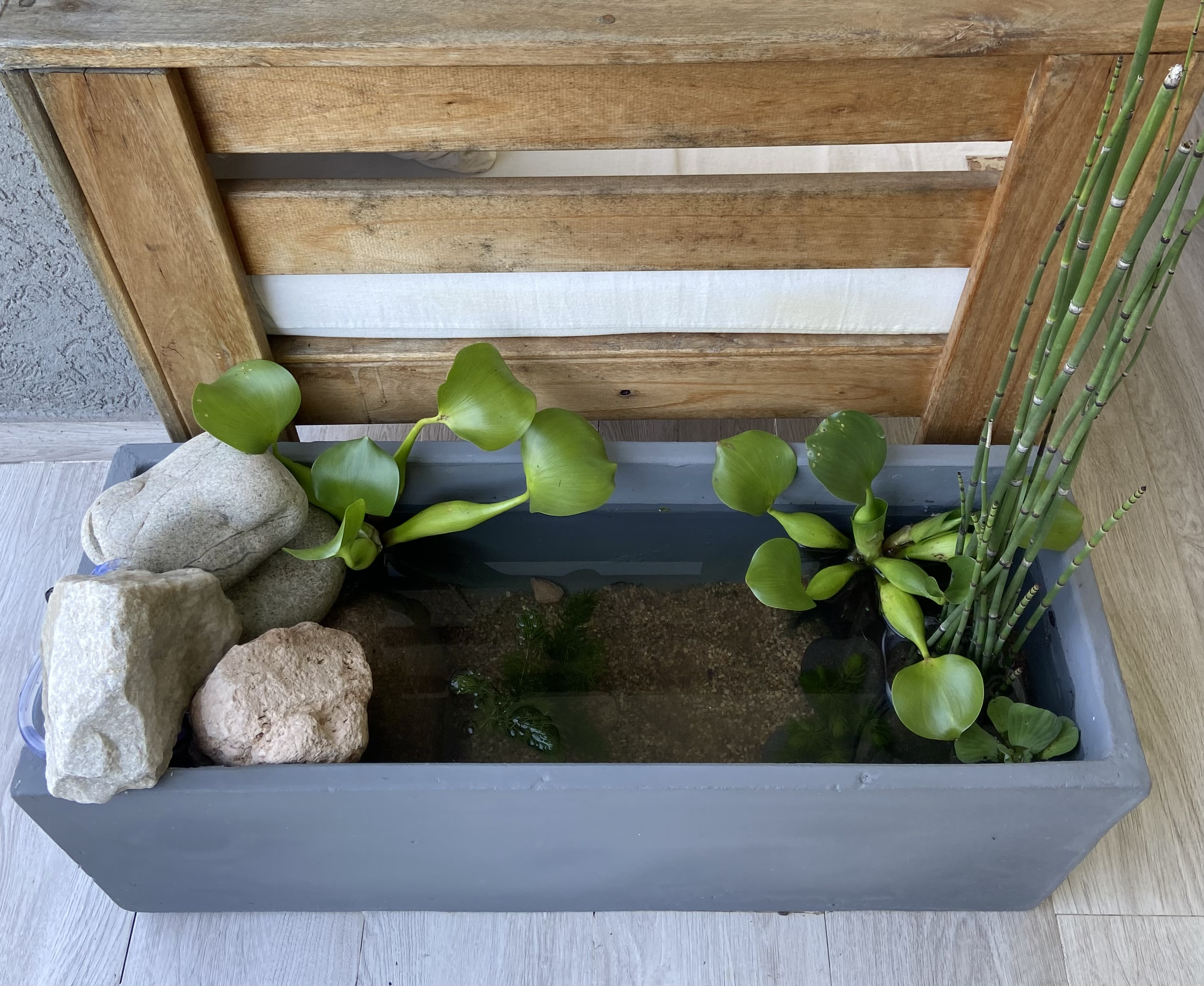 Mini Estanque - Vista 6